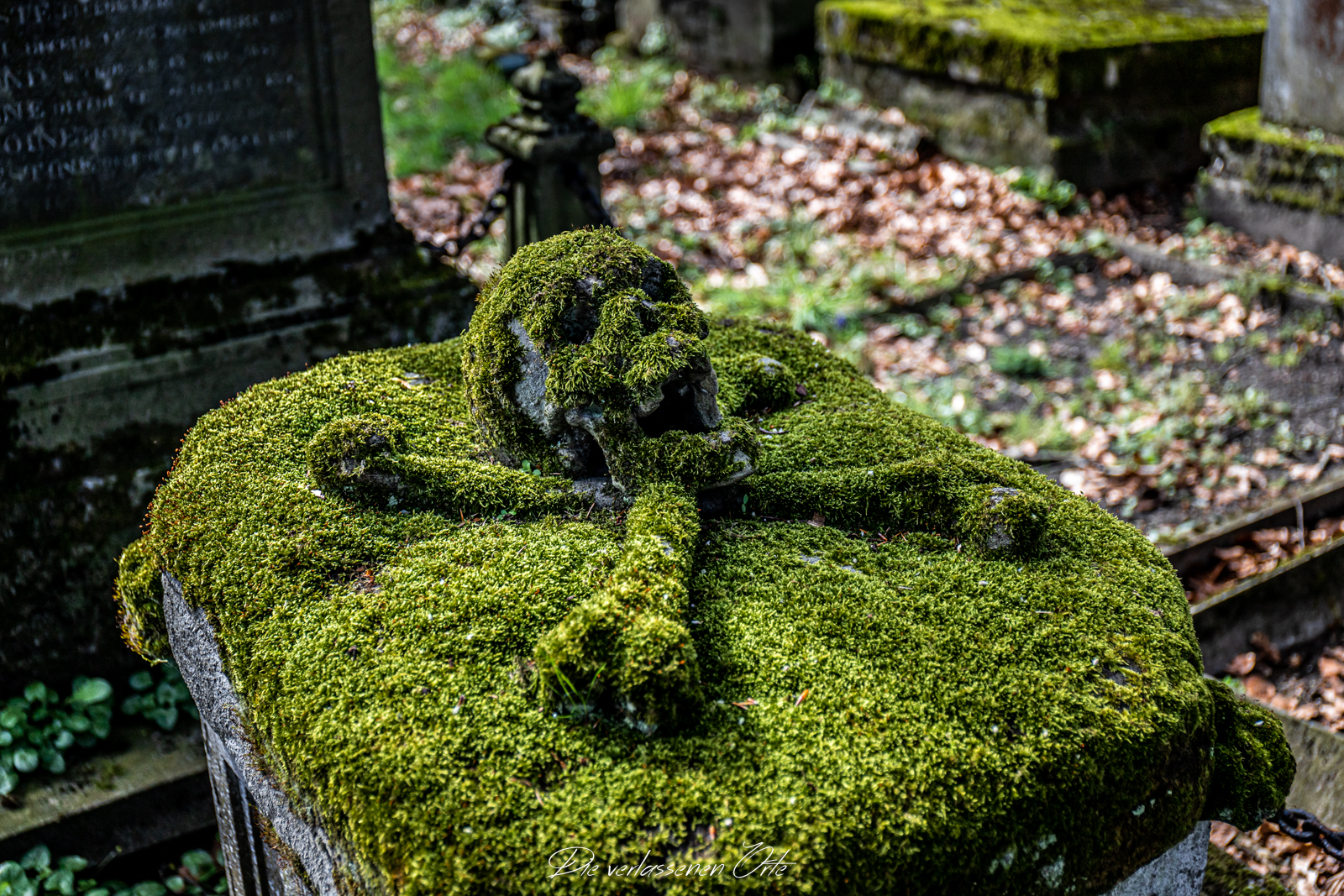 Cemetery of the Skull